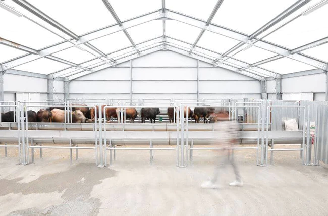 Sandwichplatten Halle 20x50m