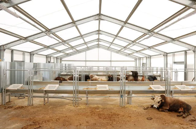 Sandwichplatten Halle 20x50m