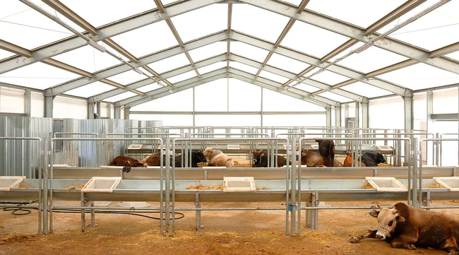 Sandwichplatten Halle 20x50m